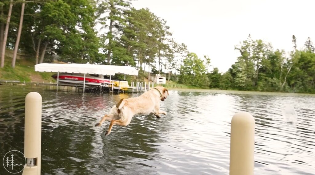 Pet-friendly lakefront rentals