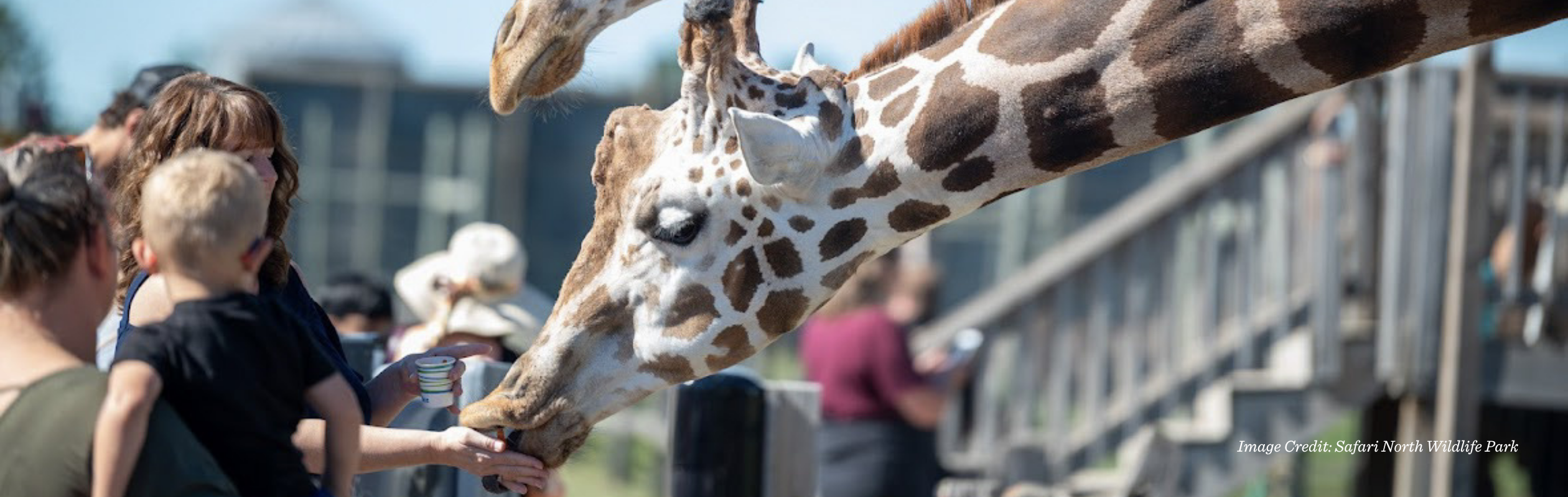 Safari North Wildlife Park