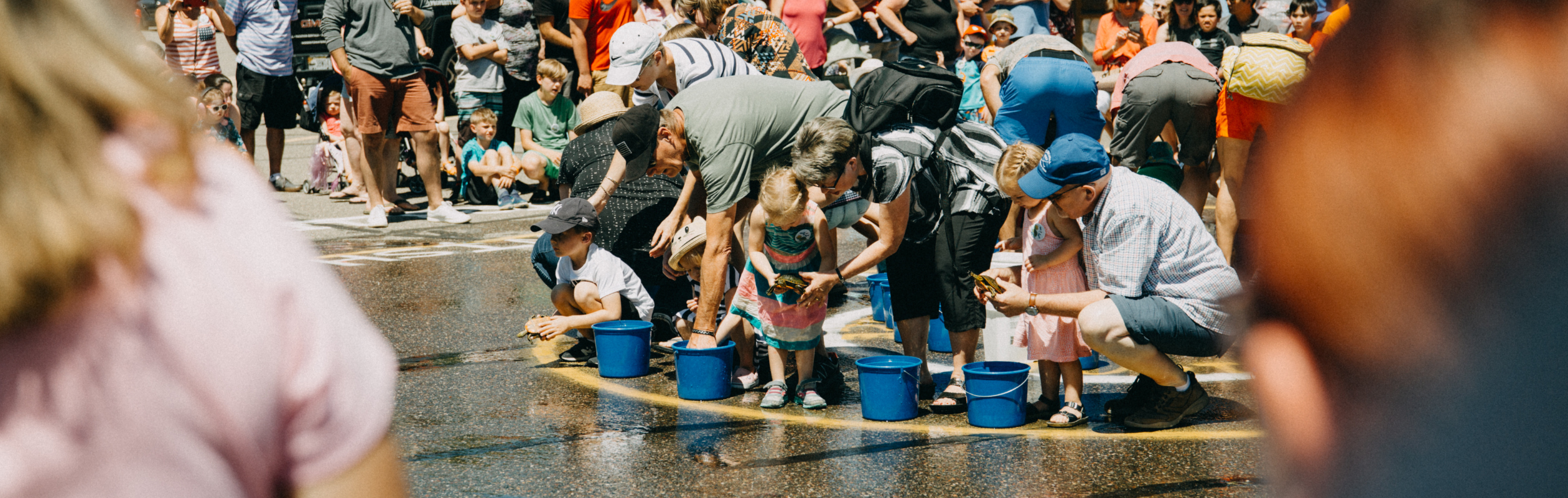 Turtle Race