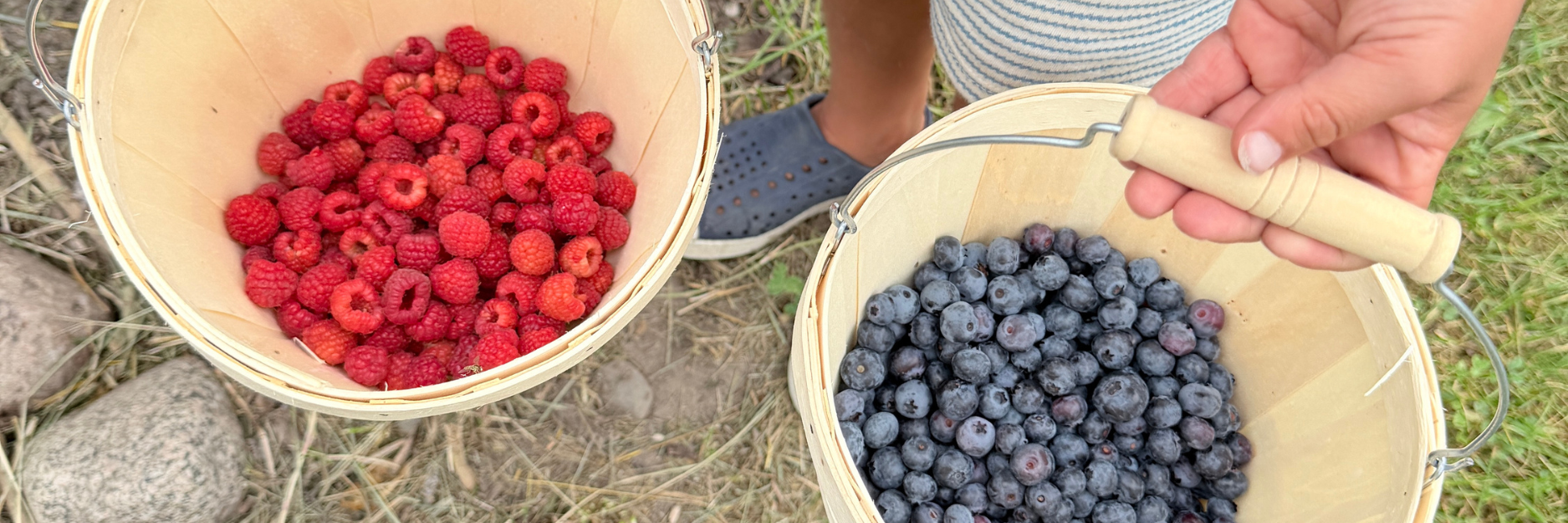 Farmers Market